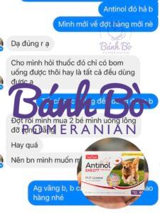 Chó phốc sóc - Chuyên trang về giống chó Pomeranian Dưỡng lông cho chó, kích mọc lông cho chó, bổ khớp dành cho chó mèo Antinol®️ EAB 277™ Antinol Cách chăm sóc chó phốc sóc
