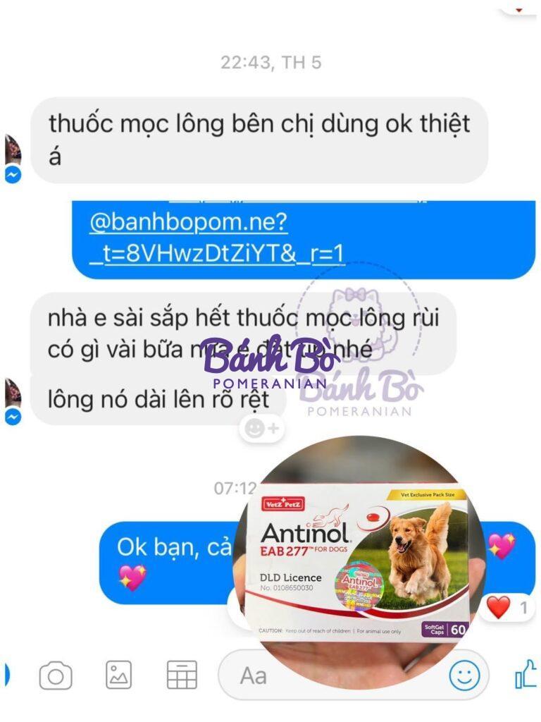 Chó phốc sóc - Chuyên trang về giống chó Pomeranian Dưỡng lông cho chó, kích mọc lông cho chó, bổ khớp dành cho chó mèo Antinol®️ EAB 277™ Antinol Cách chăm sóc chó phốc sóc