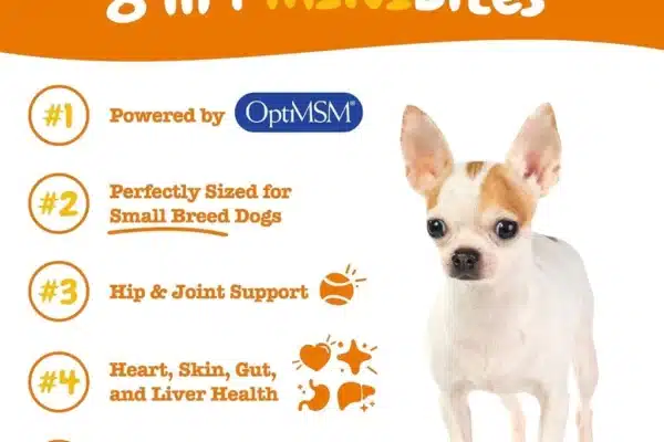 Chó phốc sóc - Chuyên trang về giống chó Pomeranian Giới Thiệu Viên Nhai Vitamin Tổng Hợp Cho Giống Chó Nhỏ Zesty Paws 8-in-1 Mini Bites Cách chăm sóc chó phốc sóc Cách chăm sóc chó phốc sóc