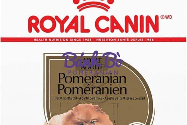 Chó phốc sóc - Chuyên trang về giống chó Pomeranian Dinh Dưỡng Cho Chó Phốc Sóc - Hướng Dẫn Từ A Đến Z Về Thức Ăn Tốt Nhất Kiến thức cơ bản về giống chó phốc sóc Kiến thức cơ bản về giống chó phốc sóc