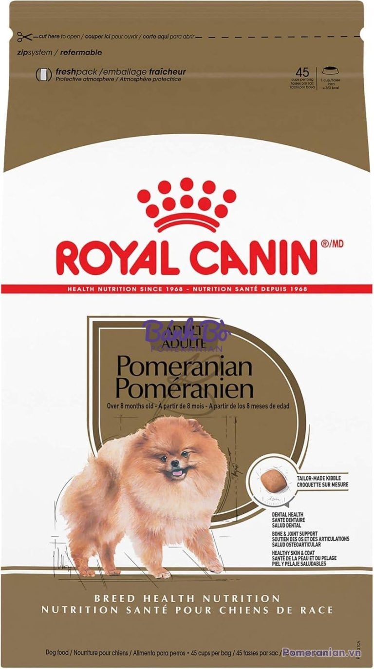 Bao thức ăn Royal Canin Pomeranian Adult với hình ảnh chó Pomeranian lông kem đứng cạnh
