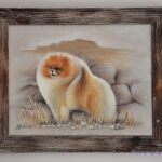 Pomeranian CALETTO MEGABUCKS WITH ESTERA