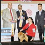 Pomeranian ESTE’RA EVERY EYES ON ME
